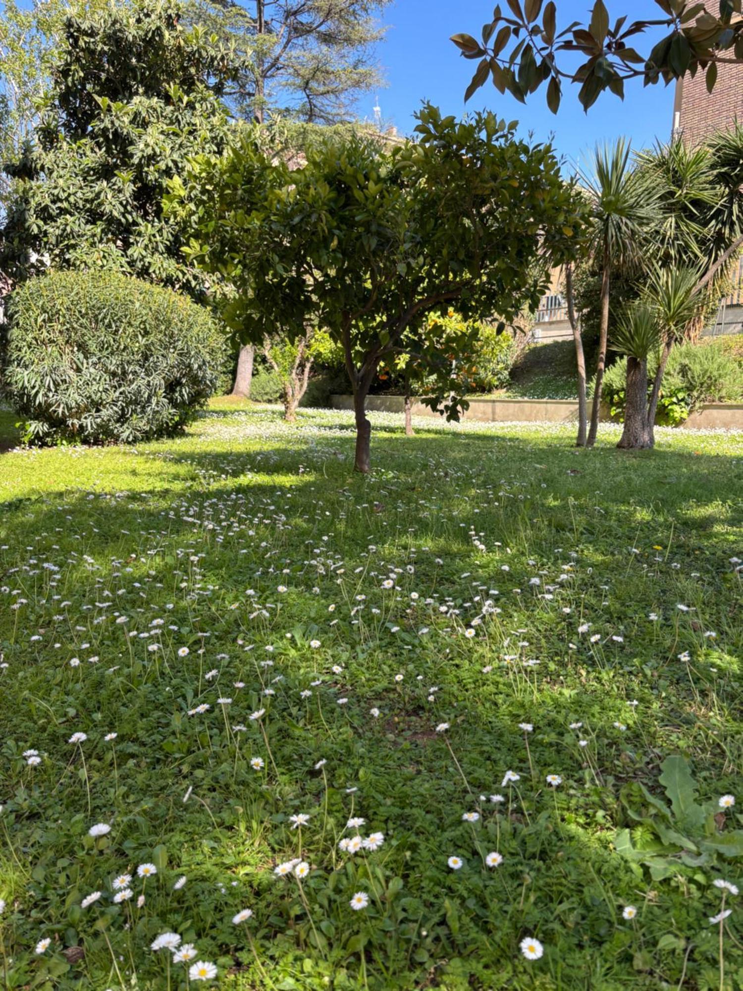 Grelly'S House - Holiday In Rome - 50 Meters From The Metro Kültér fotó